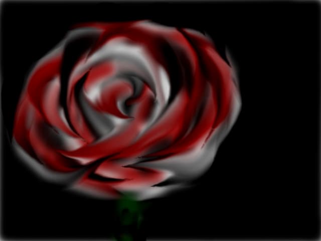 bloody rose