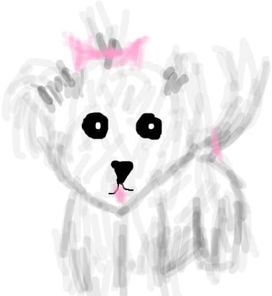 Dogy
