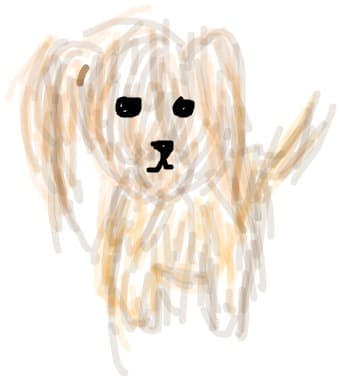 Cutzu