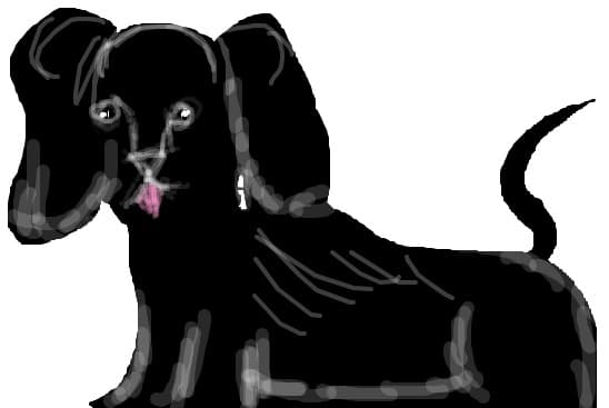 Cutzu2