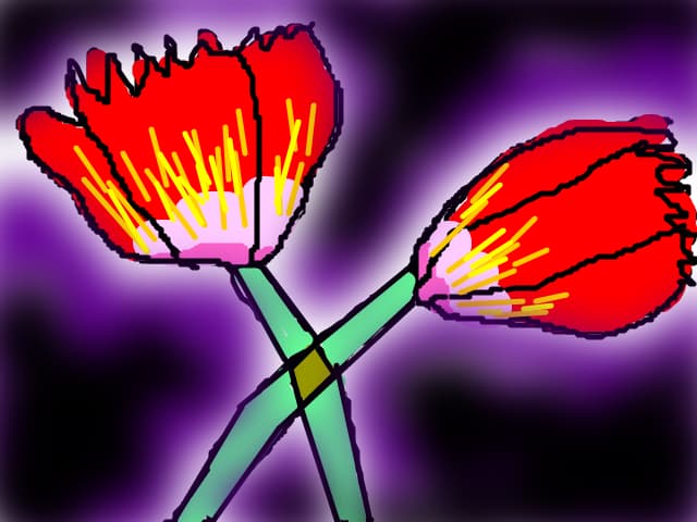 Flori