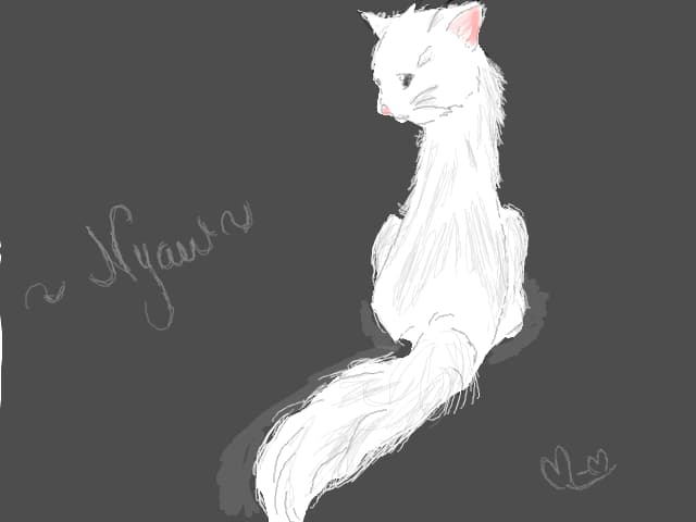 kitty