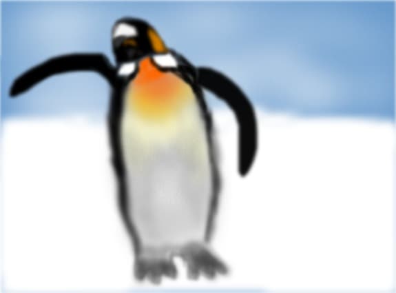 pinguin