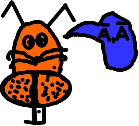 iepuras
