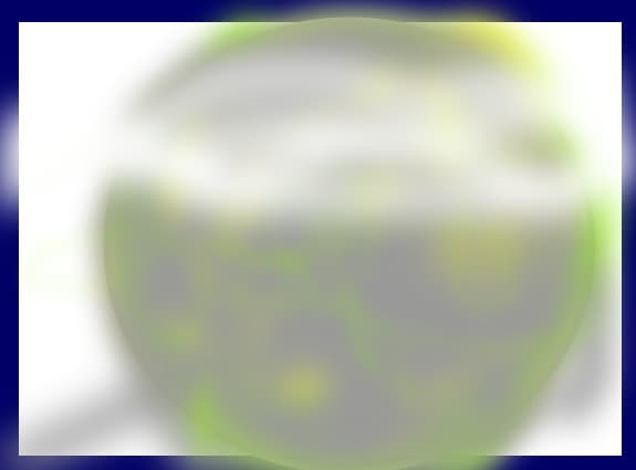 o luna