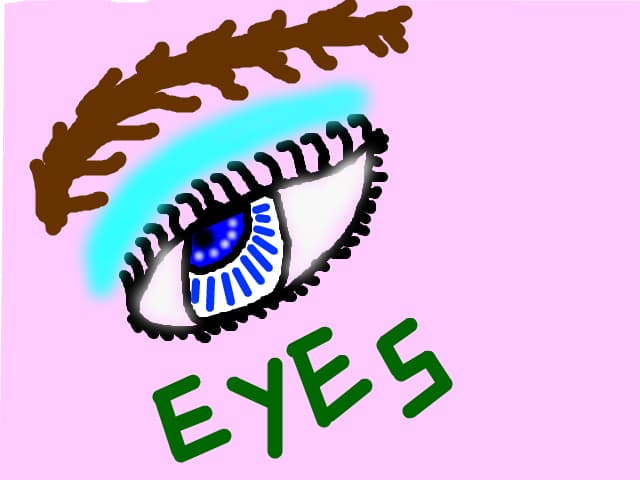 eyes