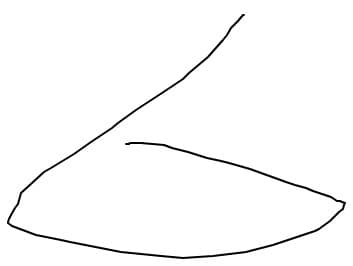 sas