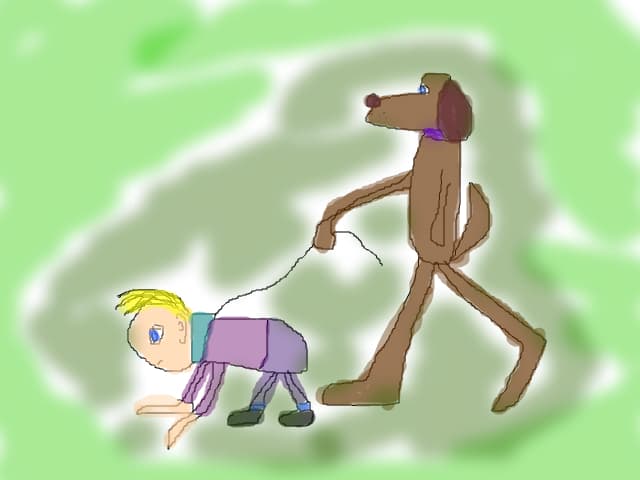 Take your pet for a walk