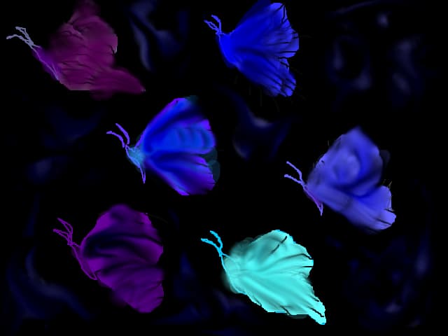 butterfly