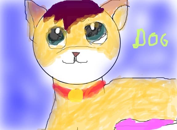 dog