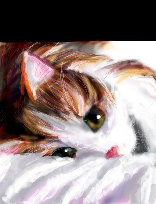 miau...:o3 4 catoka san si restul desenatorilor^^