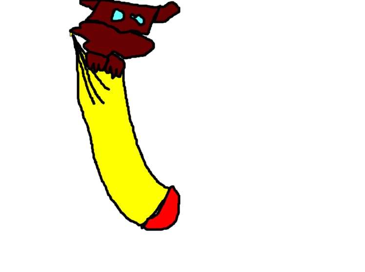 najpa