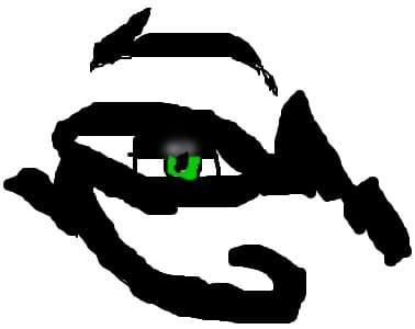 Ochi