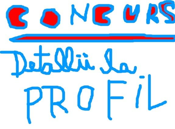 concurs detalii la profil