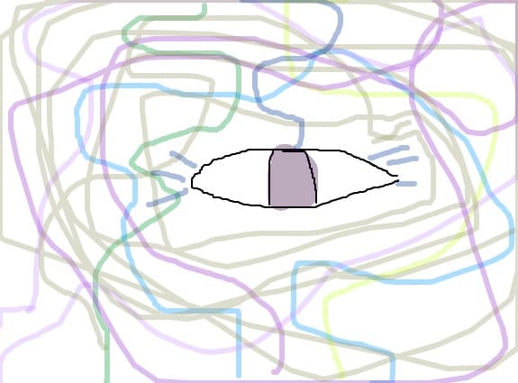 ochiul
