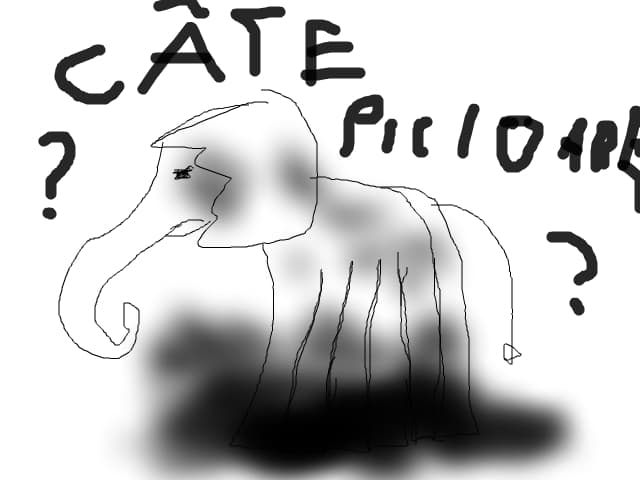 cate piciore