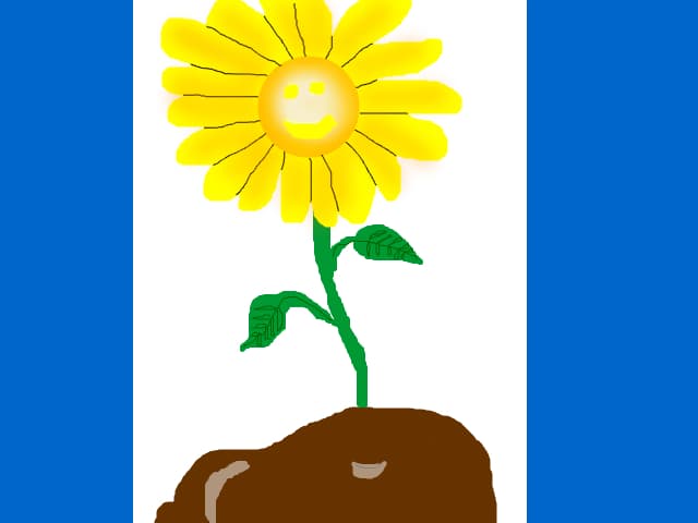 Floare! .