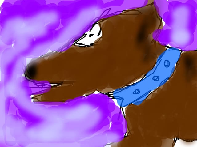 puppy