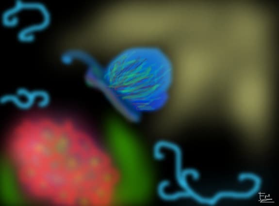 fluturas