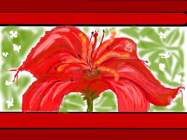 floarea dragostei