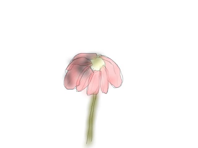o floare...