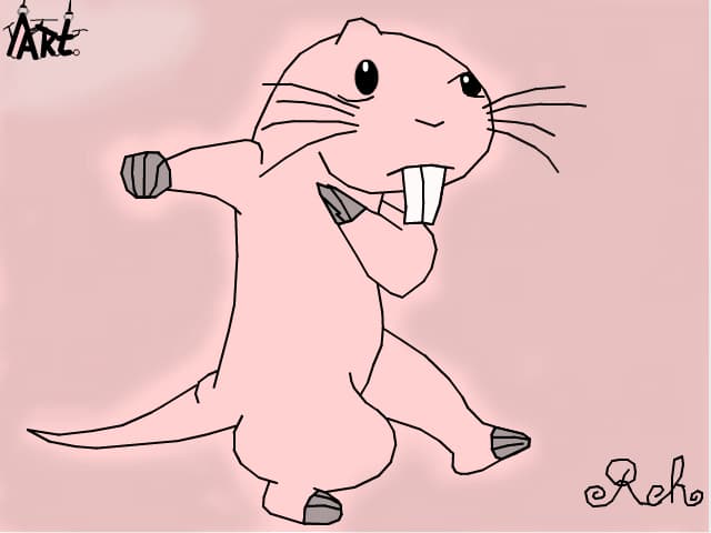 Rufus