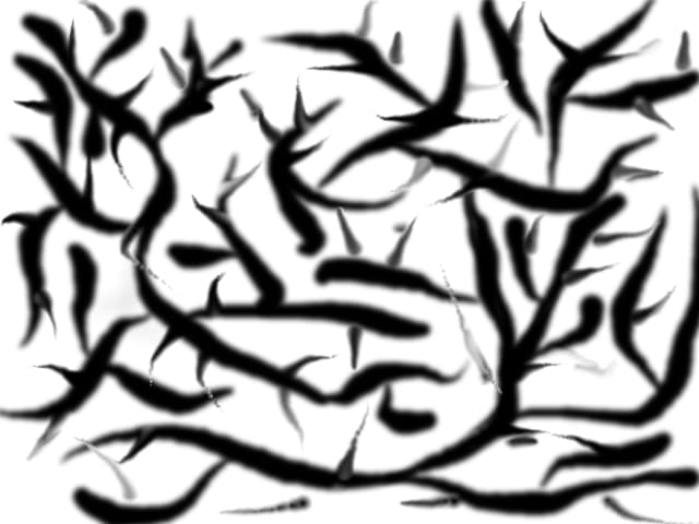 crengi