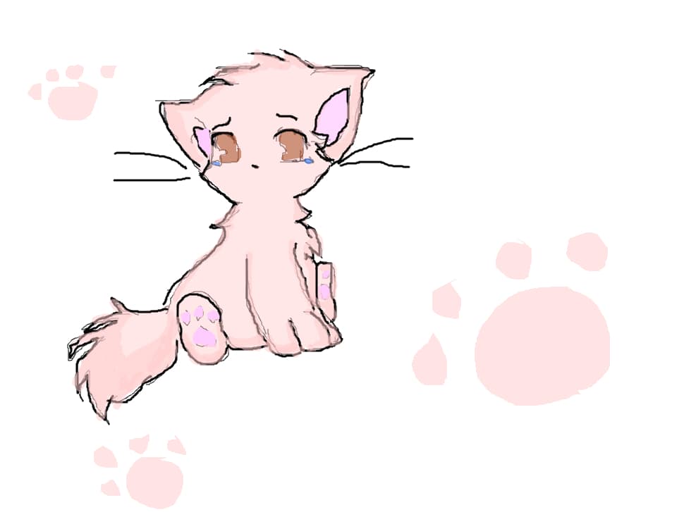 anime cat
