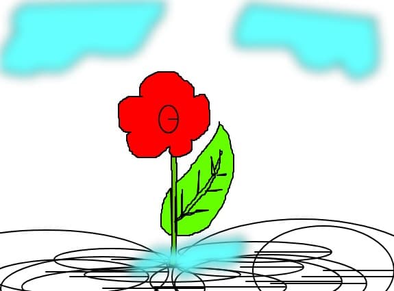 o floare simpla