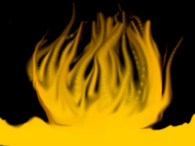 foc