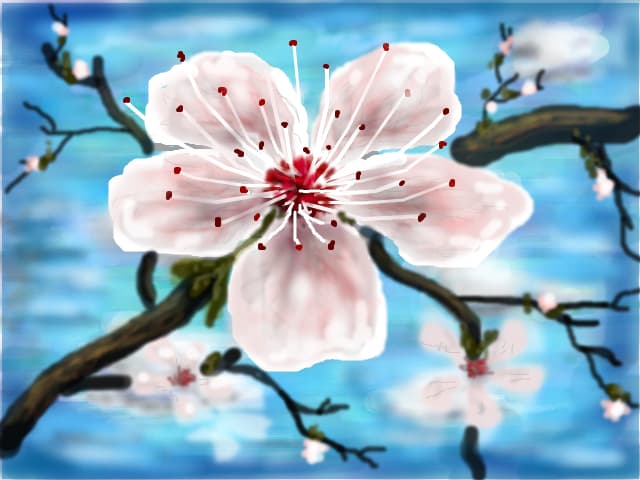 o floare de cires poate acoperi tot cerul....