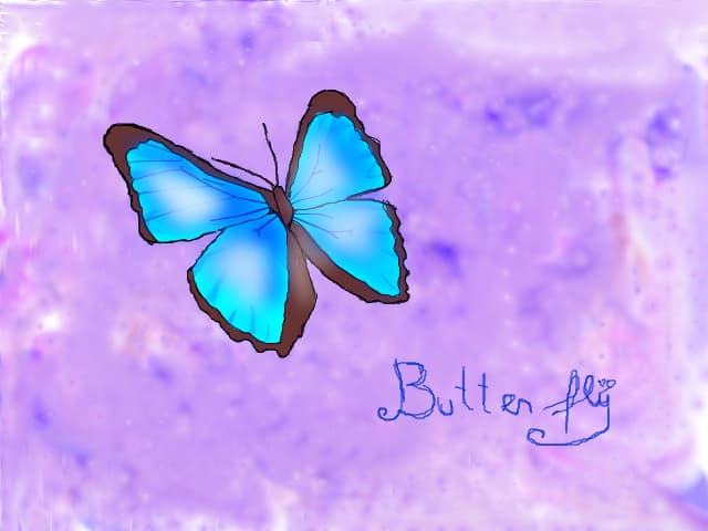 Butterfly