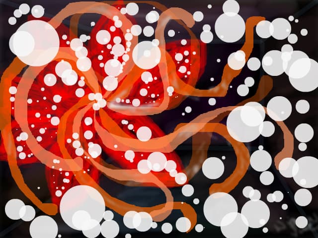 floarea