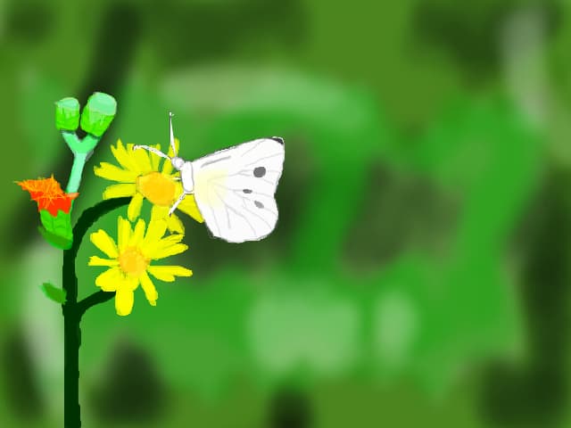 butterfly