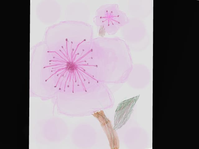 Floare de cires