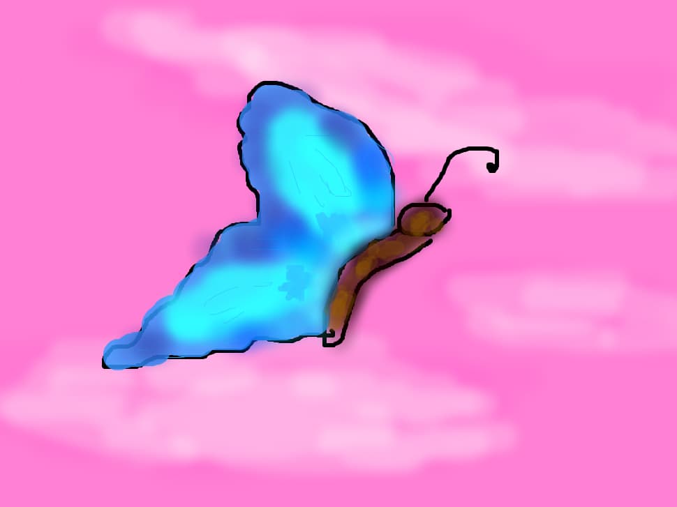 buutterfly