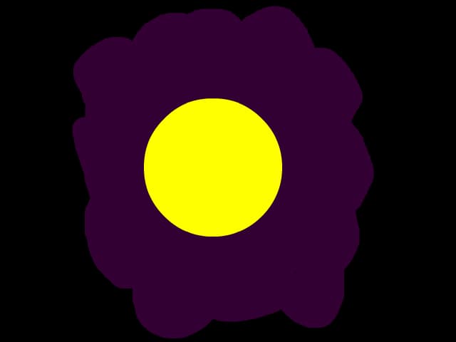 floarea mov