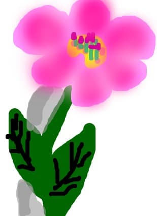 floare