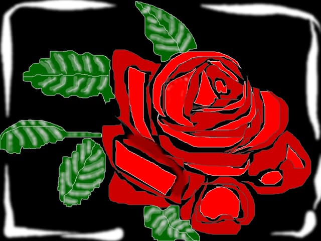 Rose