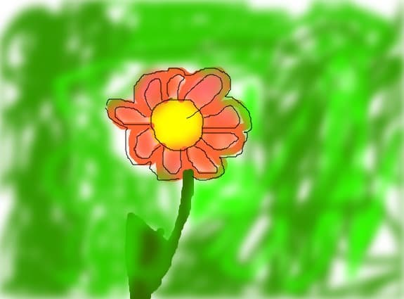 o floare