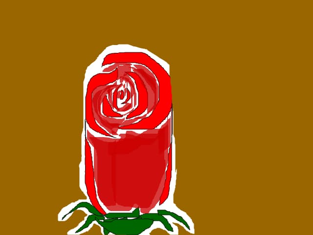 Rose