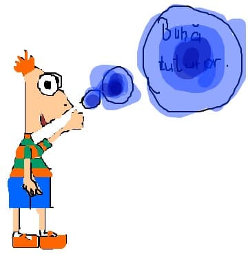 Phineas Flin