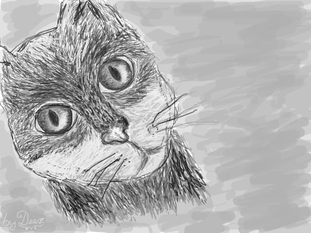 Meow!