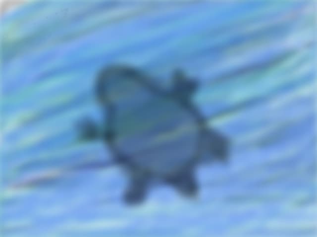 umbra unei tzestoase in ocean