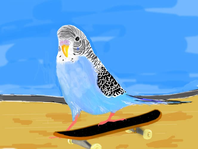 LULU PE FINGER SK8 :D