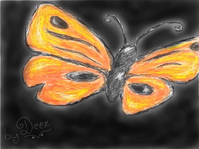 Butterfly