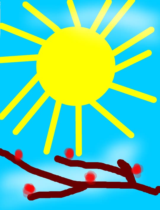 soare