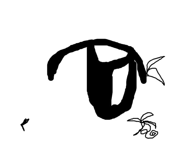 eye