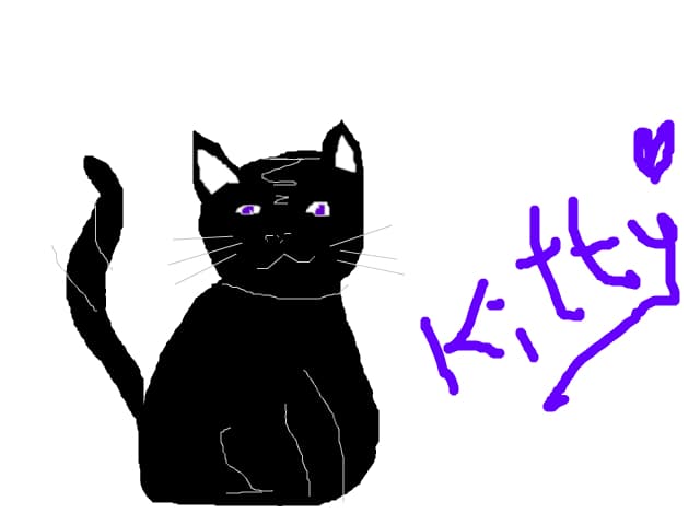 kitty