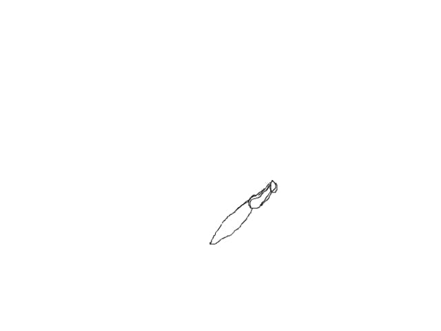 fluture